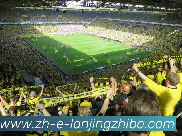 App Interface Preview